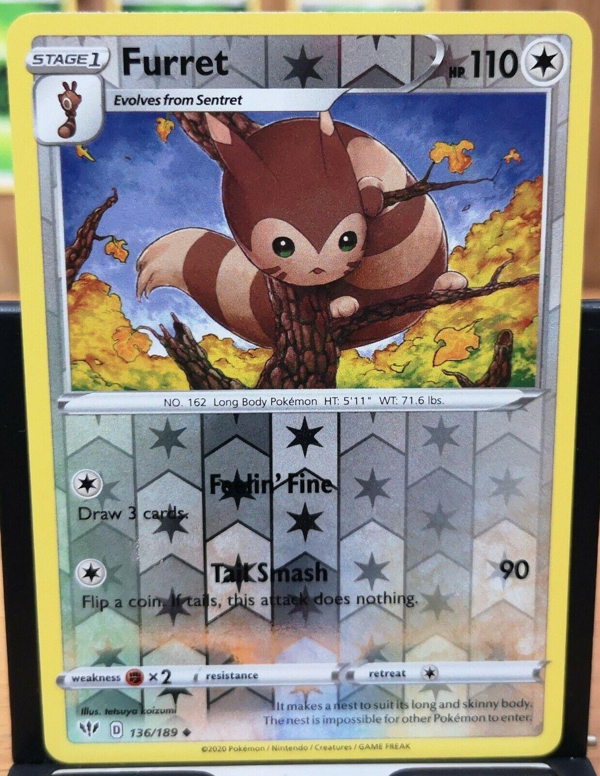 Furret