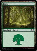 Forest (0275)