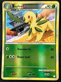 Bayleef