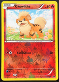 Growlithe (11)