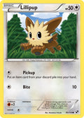 Lillipup (80)