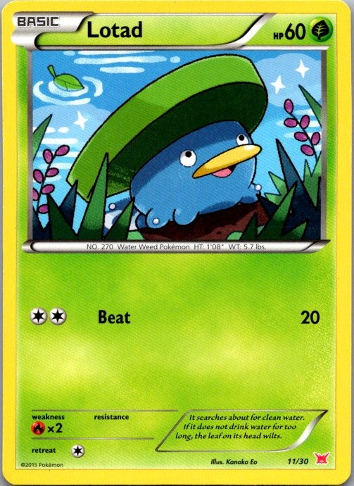 Lotad (#11)